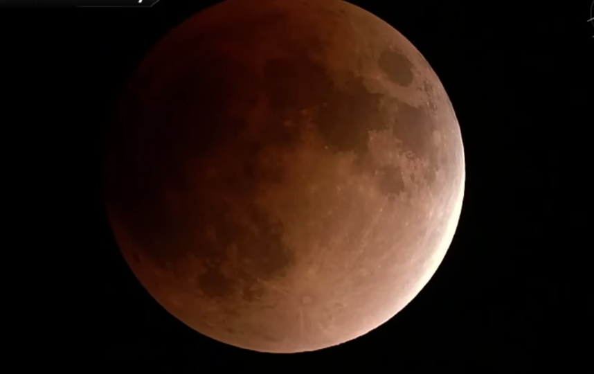 Скриншот youtube.com/watch?v=wwMDvPCGeE0.