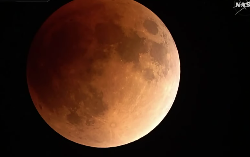 Скриншот youtube.com/watch?v=wwMDvPCGeE0.