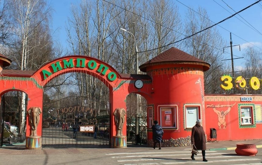 Мэр и губернатор Нижнего Новгорода пообещали помочь зоопарку "Лимпопо"