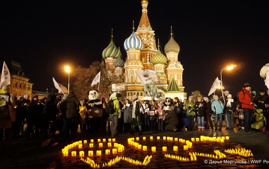 Акция "Час Земли" в 2019 году в России пройдёт 20 марта в 20:30 по местному времени. Фото Дарья Моргунова | WWF России