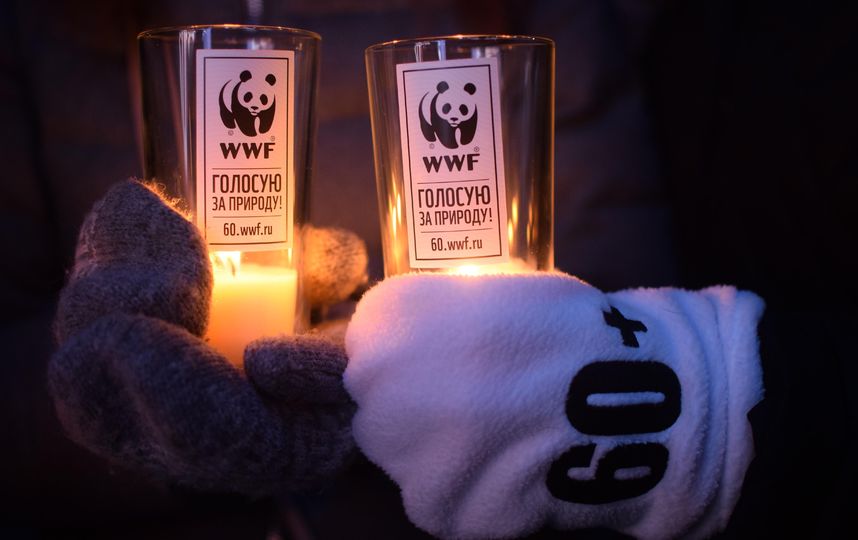 Акция "Час Земли" в 2019 году в России пройдёт 20 марта в 20:30 по местному времени. Фото Анна Тихонова | WWF России