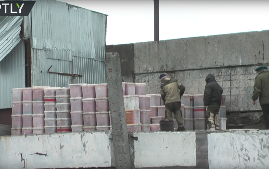 Кадры утилизации икры. Фото RT на русском