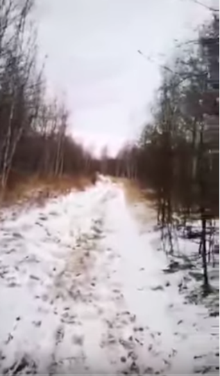 Та самая дорога, по которой шли Радион с Борисом. Фото Скриншот видео Youtube/Кам24/watch?v=gFqyRSDg9IU&feature=youtu.be