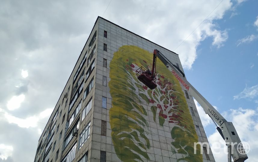 Муралы преобразили целый город. Фото Ольга Кабанова, "Metro"