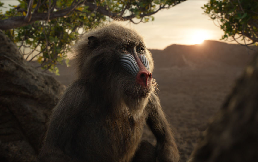 Кадр из фильма. Фото "Уолт Дисней Компани СНГ"