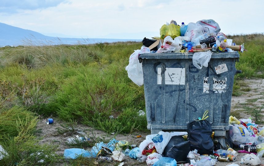 Ради чистоты и экологии предлагается закрыть мусоропроводы