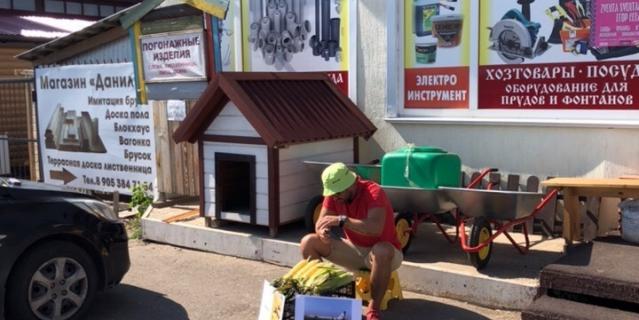 Илья Берников продаёт кукурузу.