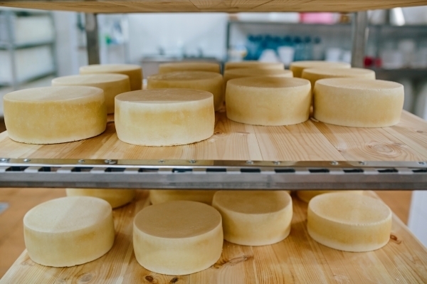 Пять марок белорусского сыра изымут из продажи в России