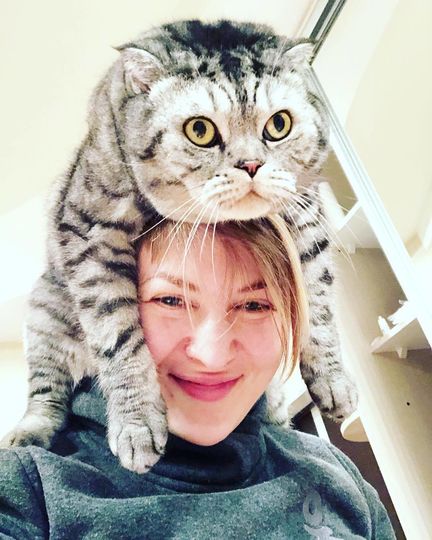 Российский кот заработал за год миллион и набрал в Instagram 100 000 подписчиков