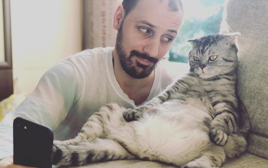 Кот Ники. Фото Скриншот Instagram/famousniki