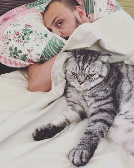 Кот Ники. Фото Скриншот Instagram/famousniki