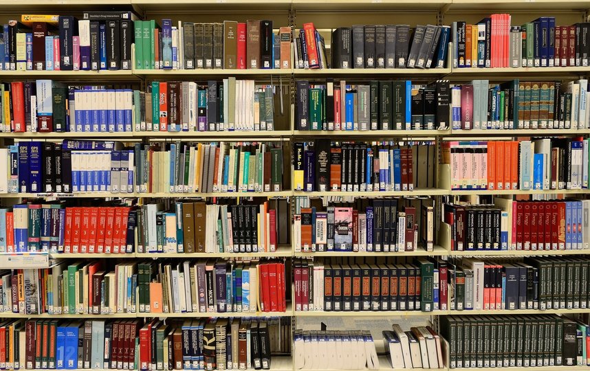 Эксперты выяснили, какие книги школьники хотели читать на уроках литературы