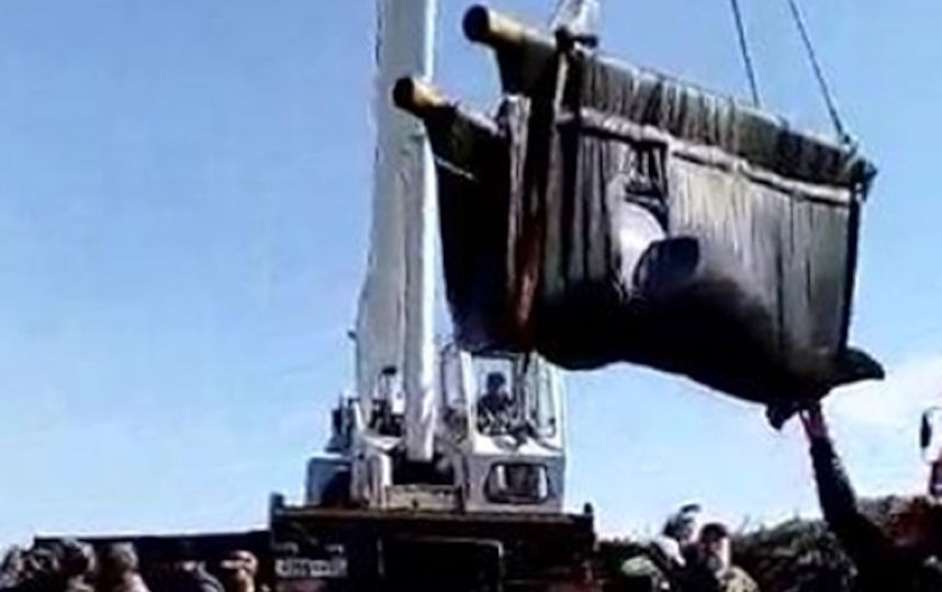 Выпуск белух в воды Сахалинского залива. Фото РИА Новости