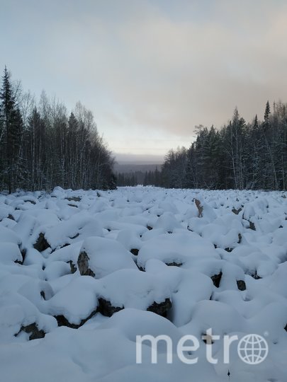 Когда-то давно вместо реки из булыжников была гора, но со временем она рассыпалась и "разлилась" на шесть километров. Зимой камни похожи на присыпанные снегом пельмени. Фото Ольга Кабанова, "Metro"