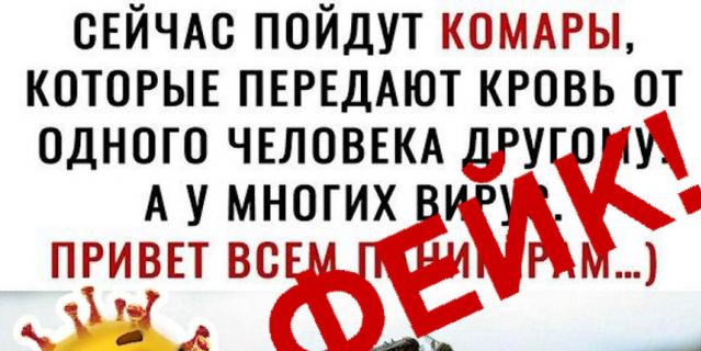 Фейки о коронавирусе: комары идут в атаку.