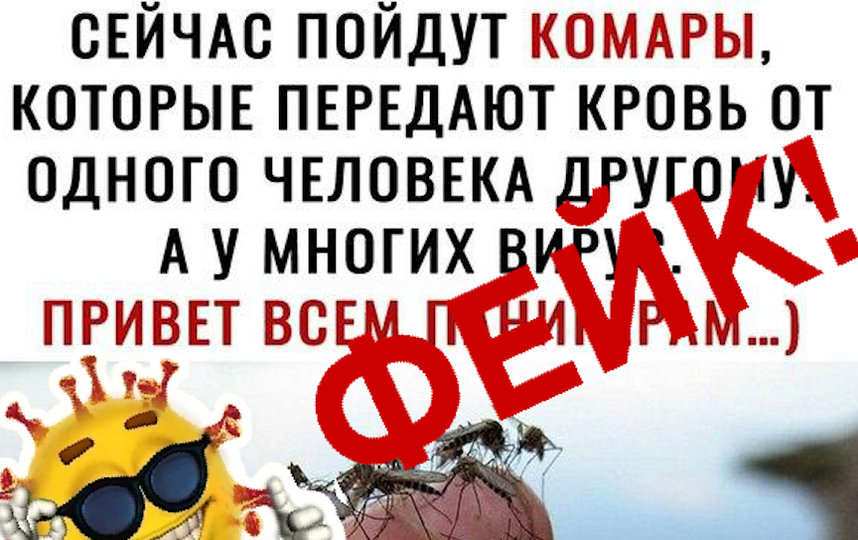 Фейки о коронавирусе: комары идут в атаку. Фото скриншот: coronafake.ru