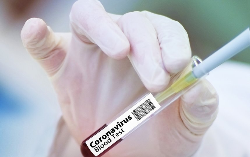 Минобороны отобрало добровольцев для испытаний вакцины от коронавируса