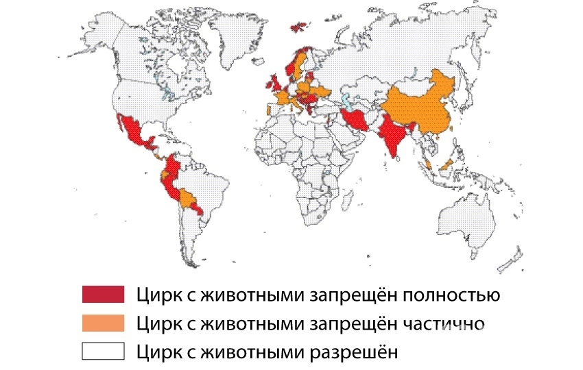 Международный день цирка: какие факты вы не знали