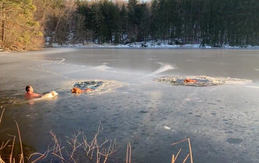 Спасение лабрадоров. Фото Скриншот видео/Тимофей Юрьев/CVJTF Group