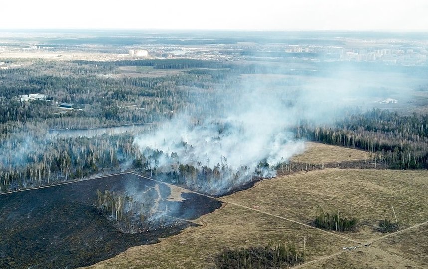 На Камчатке введён режим ЧС из-за лесных пожаров