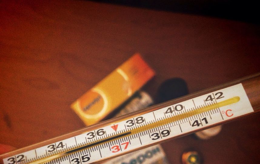 Уберечь себя помог масла чайного дерева, можжевельника, кедра или хвои. Фото Pixabay