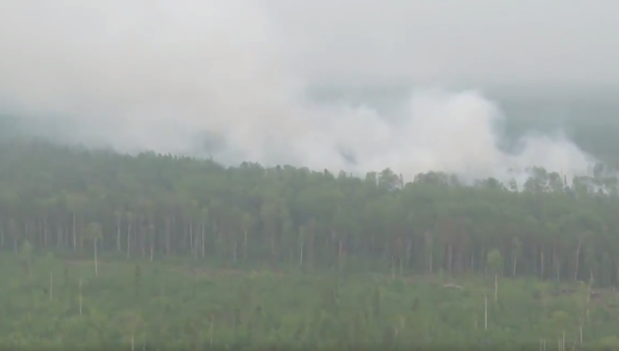 на территории РФ зафиксировано почти 470 возгораний в лесах общей площадью свыше 2,9 миллиона гектаров. Фото /twitter.com/MchsRussia