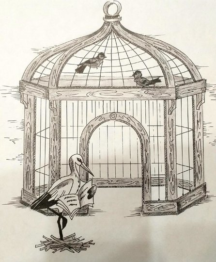 Птичья клетка Бёме. Фото https://kultsled.ru/