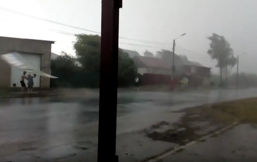 В области повалено более 100 деревьев, припаркованные автомобили оказались под завалами. Фото Скриншот Youtube