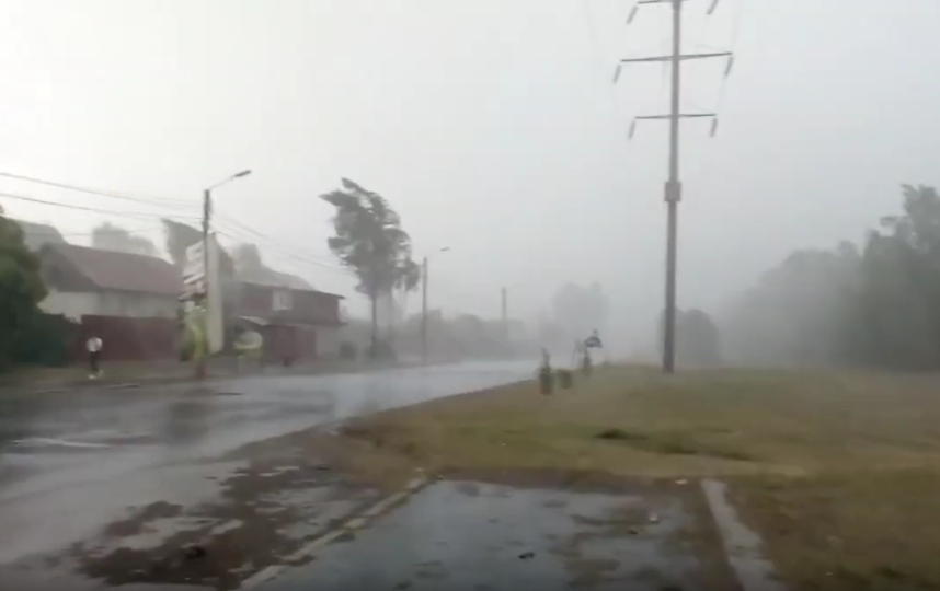 В области повалено более 100 деревьев, припаркованные автомобили оказались под завалами. Фото Скриншот Youtube