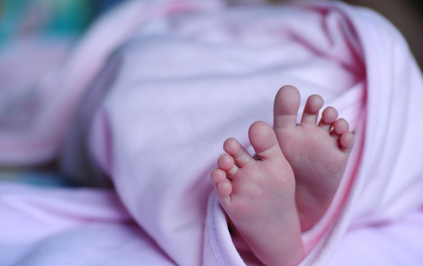 Бесплатные комплекты подарков для новорожденных уже выдаются в Москве, Ямало-Ненецком автономном округе, Республике Башкортостан, Вологодской и Тульской областях. Фото Pixabay