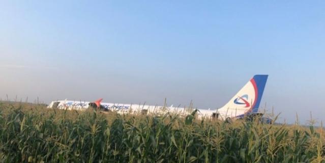 Самолёт Airbus A321 посреди кукурузного поля.