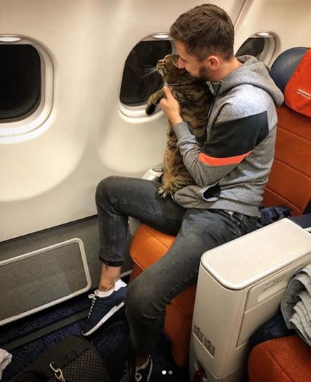 Михаил Галин и кот Виктор. Фото скриншот instagram @mikhail_galin