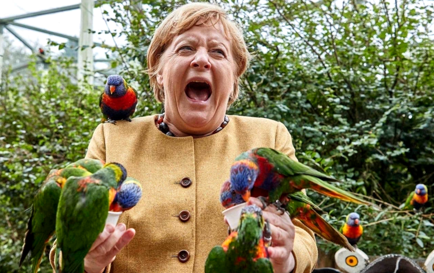 Ангела Меркель. Фото AFP