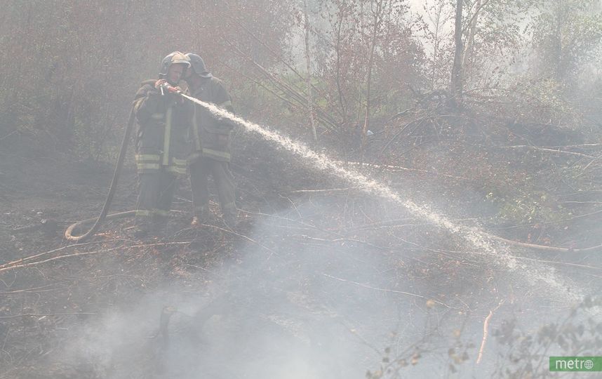 В четырёх регионах России введён режим ЧС из-за лесных пожаров