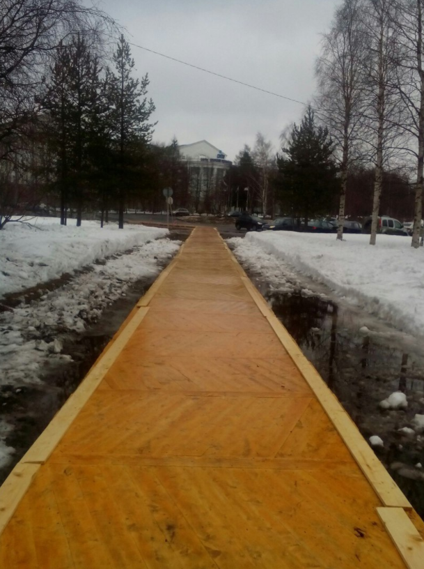 В Архангельске к приезду Путина поверх асфальта положили дорожку из паркета