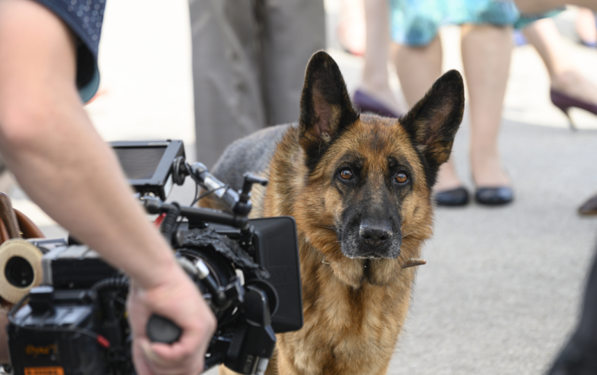 Лили понравилась режиссёру "Пальмы" Александру Домогарову – мл. своими грустными глазами. Фото "Марс медиа"