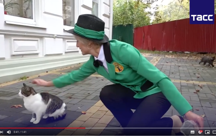 В Калининградской области живёт "котошеф": чем он занимается и сколько получает