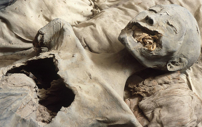 В Нижегородской области нашли замурованную в стену церковной лавки мумию