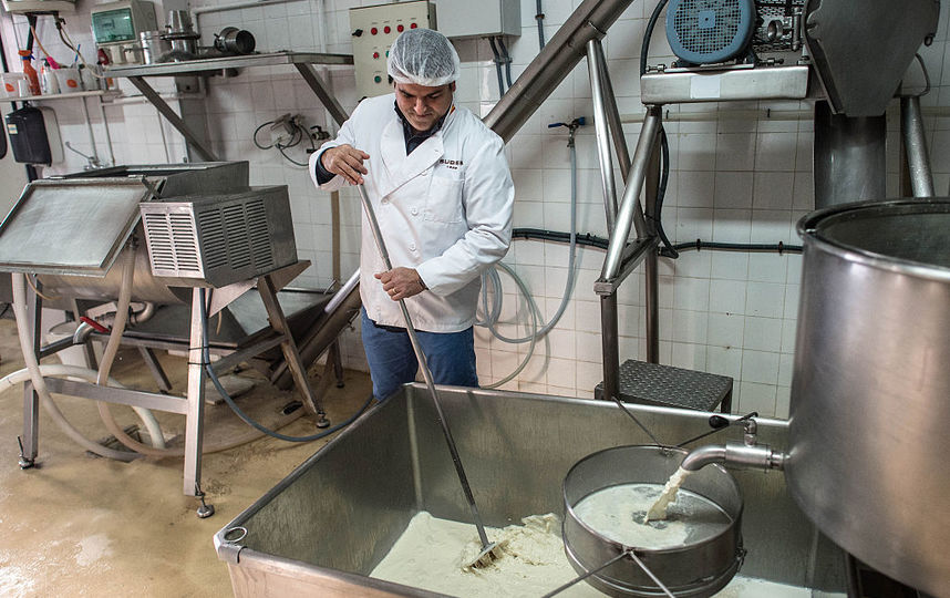 Производство молока. Фото Getty