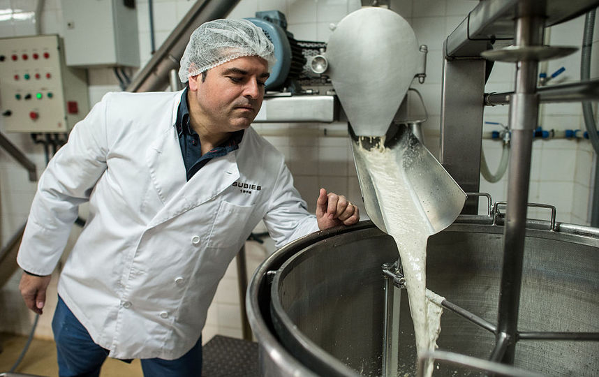 Производство молока. Фото Getty