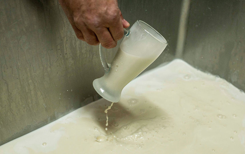 Производство молока. Фото Getty