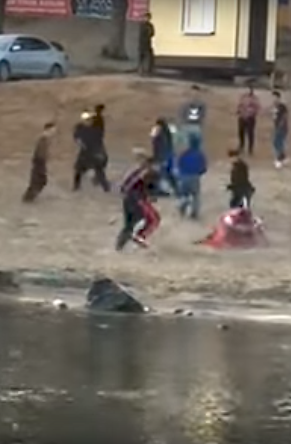 Кадры с места убийства Юрий Власко. Фото Скриншот Youtube