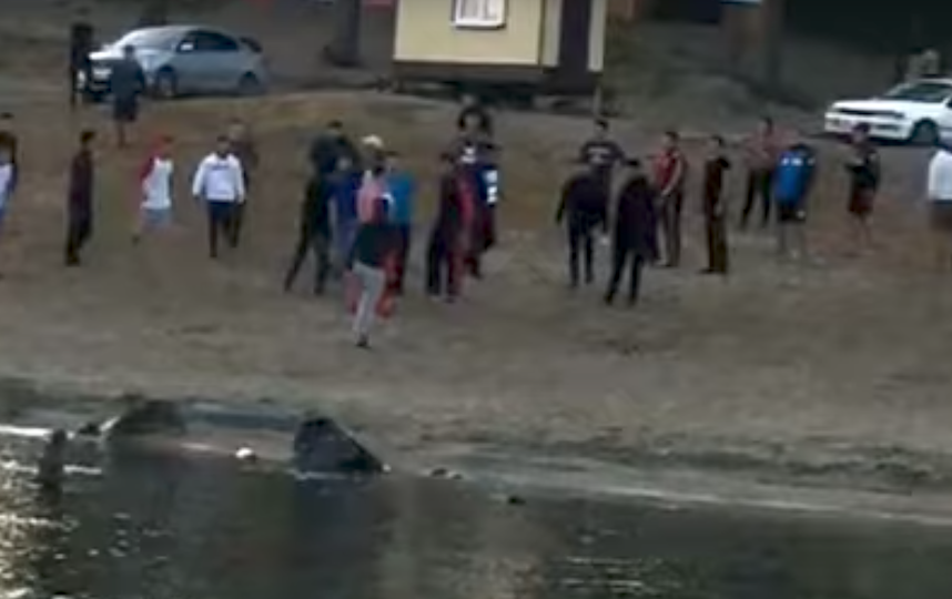 В Сети появилось видео убийства борца Власко (18+)