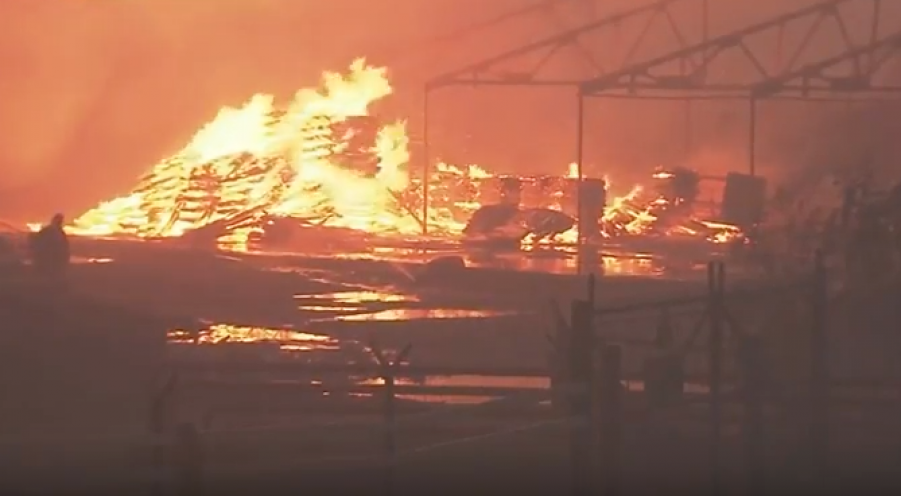 Выросло число погибших от пожаров в Красноярском крае — Видео