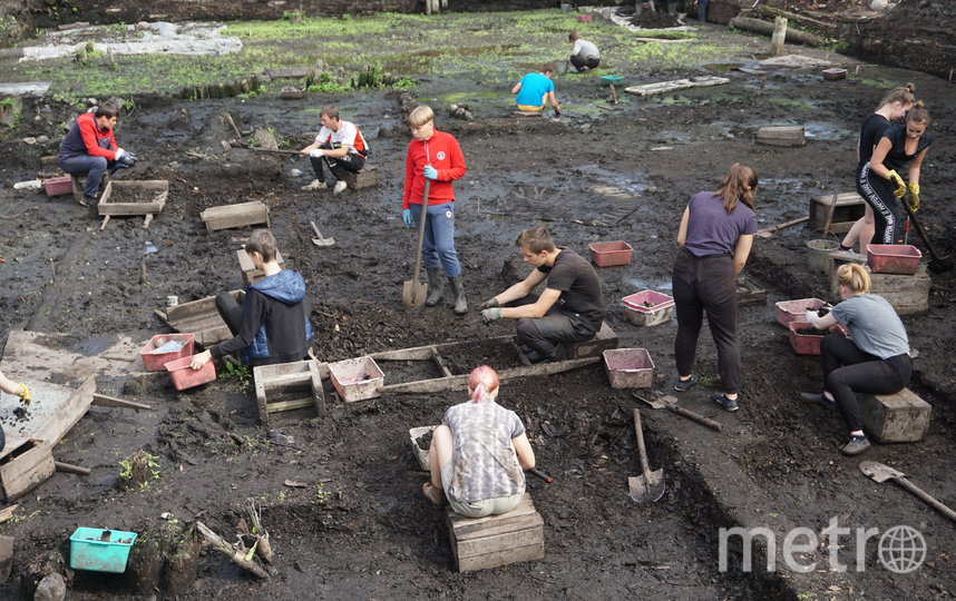 С места раскопок. Фото пресс-служба Новгородского музея-заповедника, "Metro"