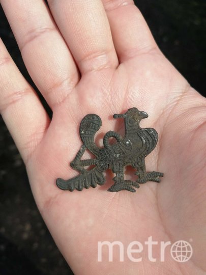 Подвеска в виде птицы, найдена в 2020 году. Фото предоставил Виктор Сингх, "Metro"