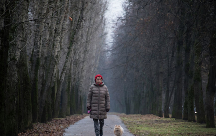 Президент Путин подписал закон о внесении изменений в пенсионное законодательство. Фото РИА Новости