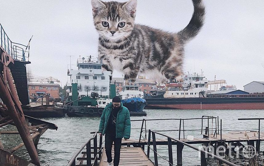 Дружелюбный пушистик встречает Андрея на причале. Фото Скриншот Instagram/odnoboko, "Metro"