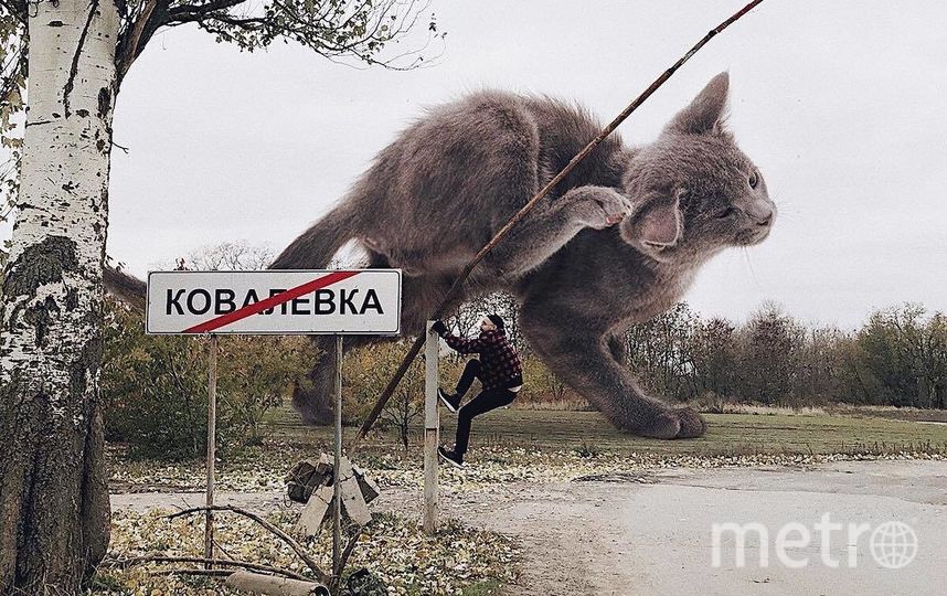 Андрей готов лезть куда угодно ради эффектного кадра. Фото Скриншот Instagram/odnoboko, "Metro"