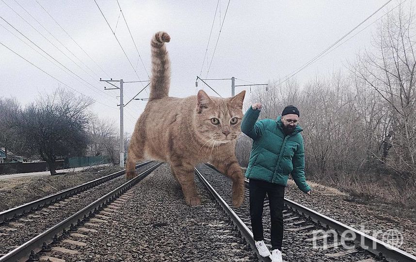 Когда за тобой на рельсах увязался гигантский кот... Фото Скриншот Instagram/odnoboko, "Metro"